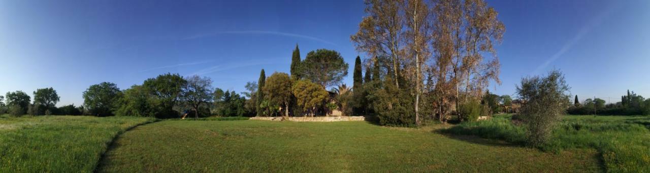 Podere La Fornace Ravi Luaran gambar